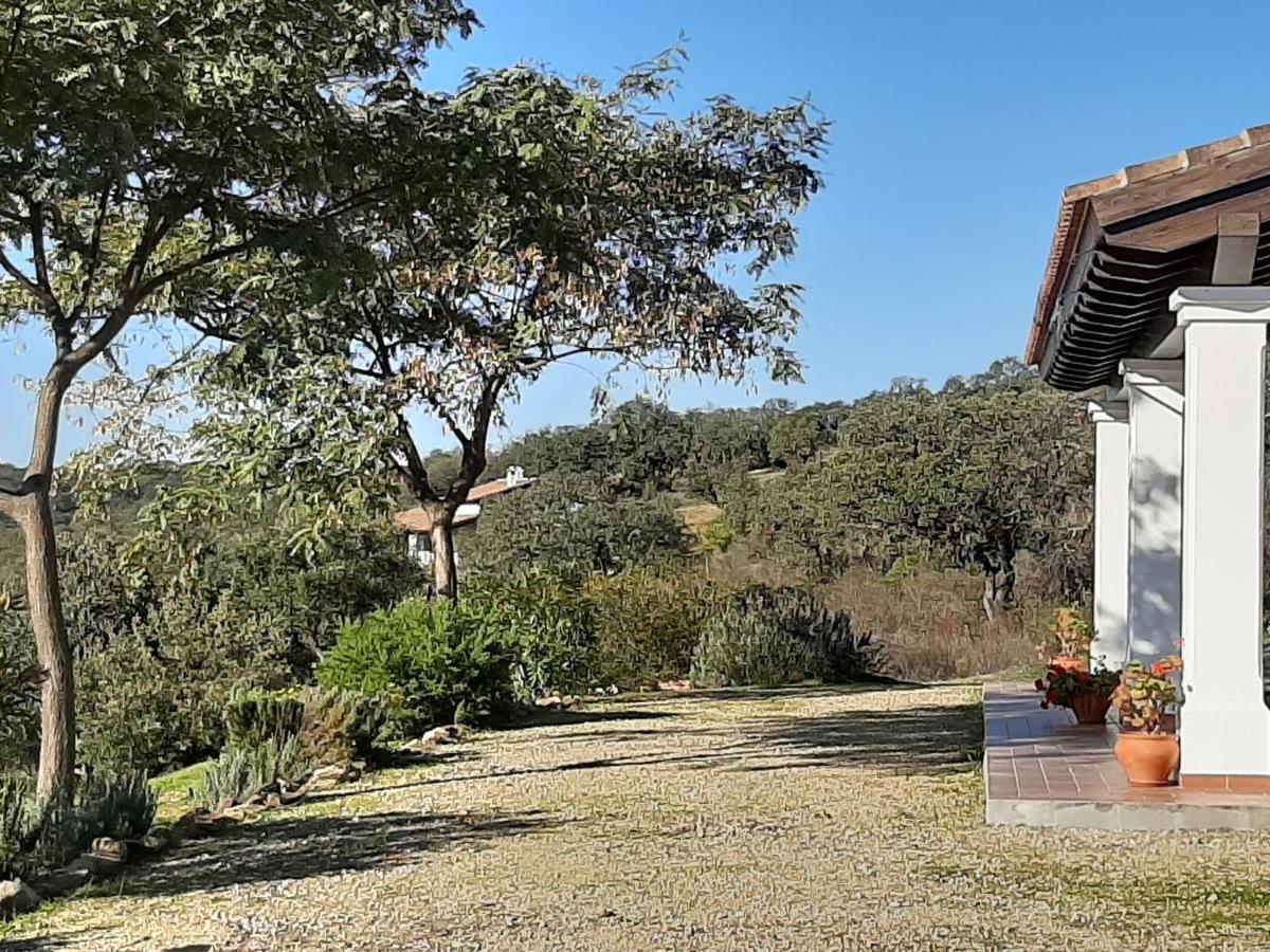 Casa Rural La Aulaga Эль-Кастильо-де-лас-Гуардас Экстерьер фото