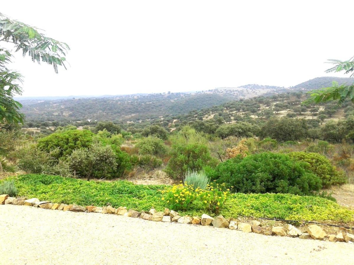 Casa Rural La Aulaga Эль-Кастильо-де-лас-Гуардас Экстерьер фото