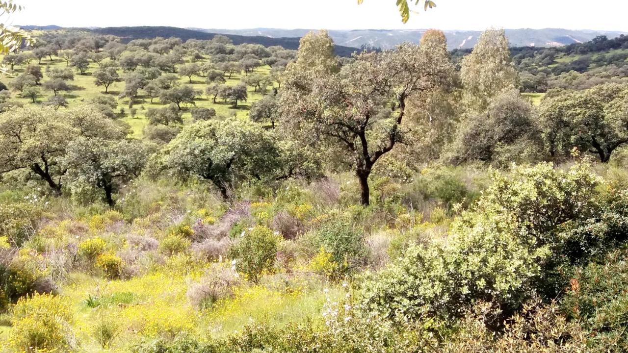 Casa Rural La Aulaga Эль-Кастильо-де-лас-Гуардас Экстерьер фото
